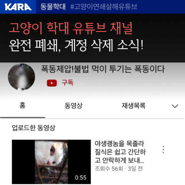 동물해동권